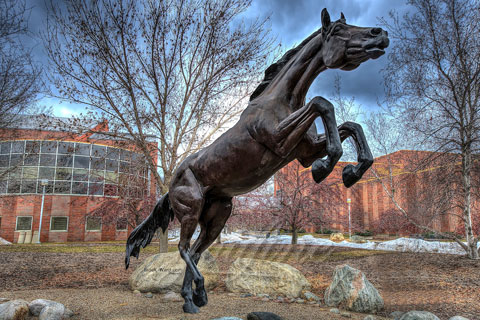 large bronze jumping horse statue for city decor